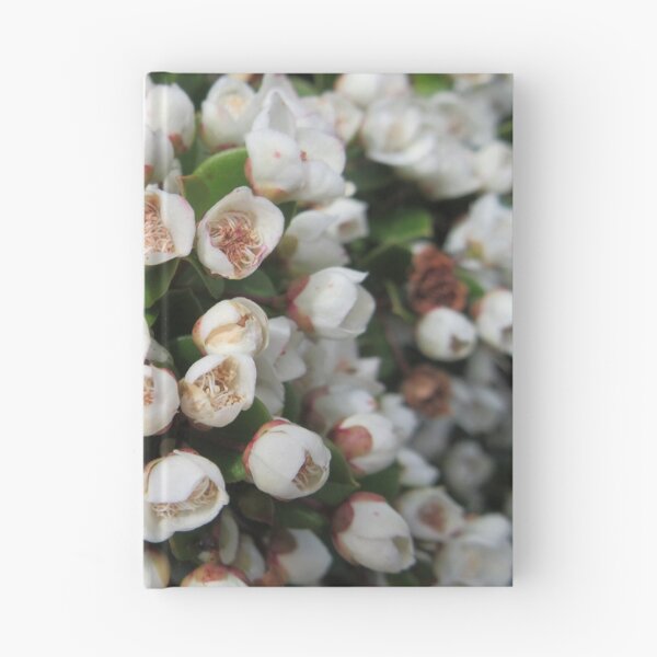 Item preview, Unknown White Flowering Shrub designed and sold by lezvee.