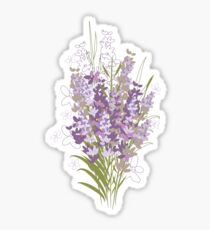 Lavender flowers Sticker