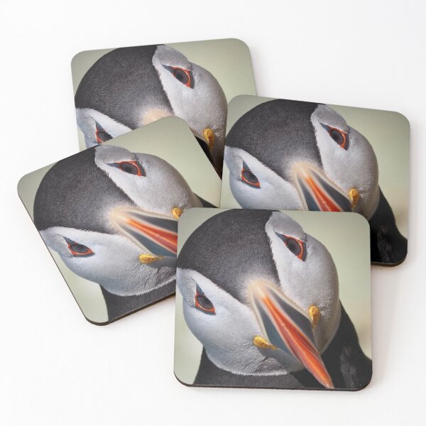 Item preview, An Inquisitive Puffin designed and sold by Alan Mackinnon.