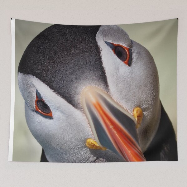 Item preview, An Inquisitive Puffin designed and sold by Alan Mackinnon.