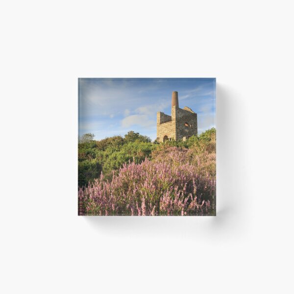 Item preview, Heather clump at Wheal Peevor designed and sold by bitm2007.