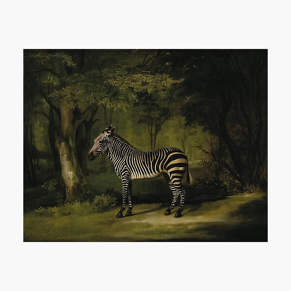 Item preview, Zebra by George Stubbs designed and sold by Vintage Designs +.