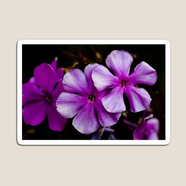Item preview, Purple Flowers designed and sold by Yardley Pearson Photography.
