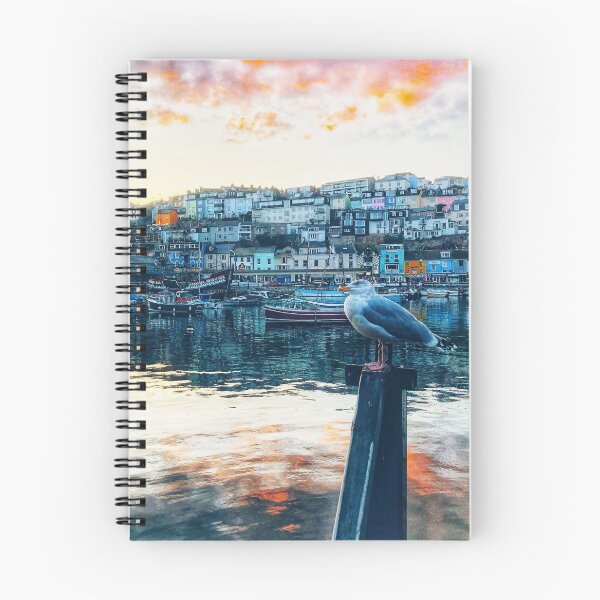 Item preview, Brixham Harbour Seagull by My Brixham no logo designed and sold by mybrixham.