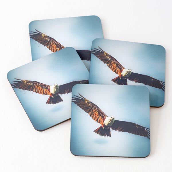 Item preview, Brahminy Kite designed and sold by wazoosi.
