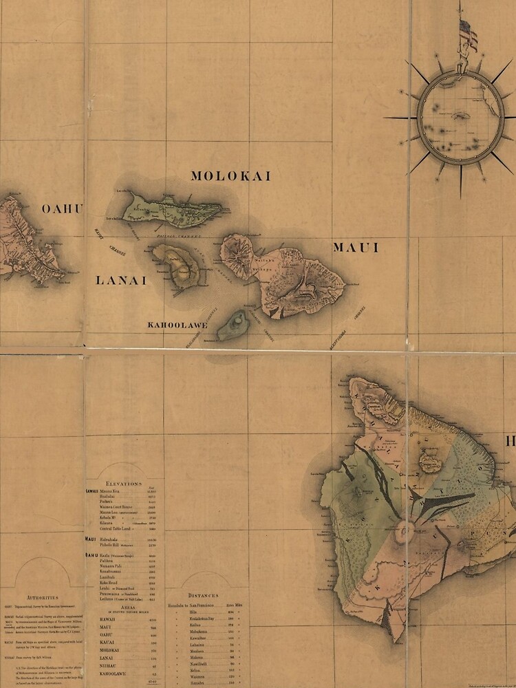 Vintage Map of Hawaii (1876) by BravuraMedia