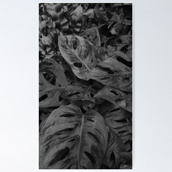Item preview, Monstera Leaves Floral Pattern - Dark designed and sold by zazuzanta.