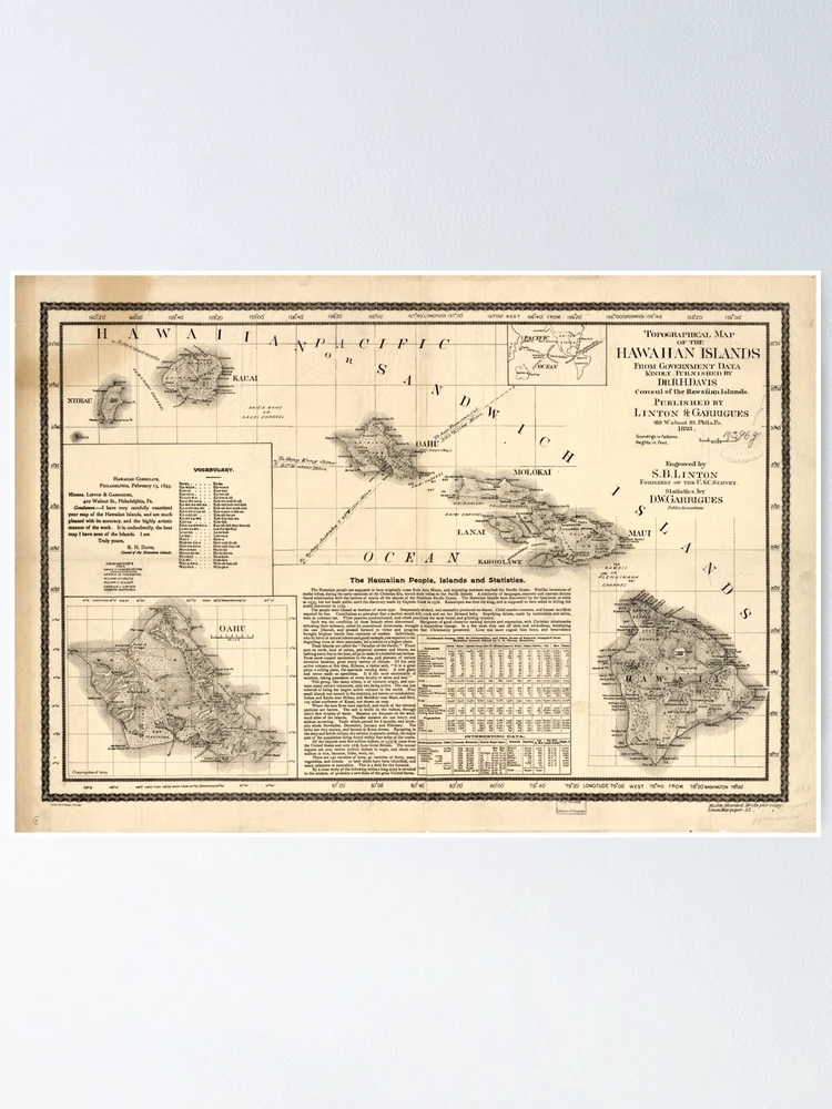 Vintage Map of Hawaii (1893) 