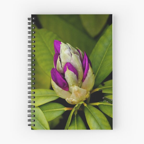 Item preview, Flowerpower designed and sold by Yardley Pearson Photography.