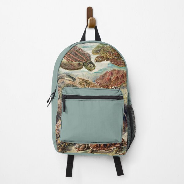 Item preview, Artforms in Nature - Turtles & Tortoises by Ernst Haeckel designed and sold by Freewheeling.