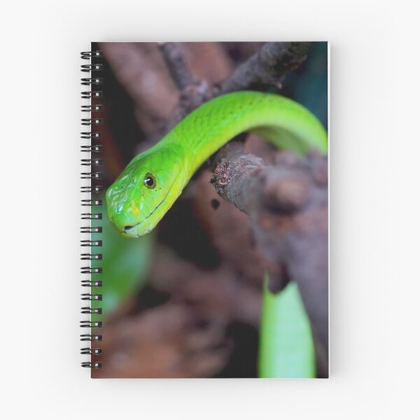 Item preview, Green Snake Python designed and sold by Sven19864.