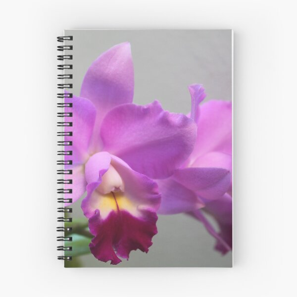 Item preview, Orquídeas Cattleya designed and sold by gabmenfer.