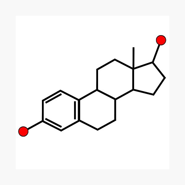 Item preview, Estrogen Molecular Structure designed and sold by Neuro-Nerdom.