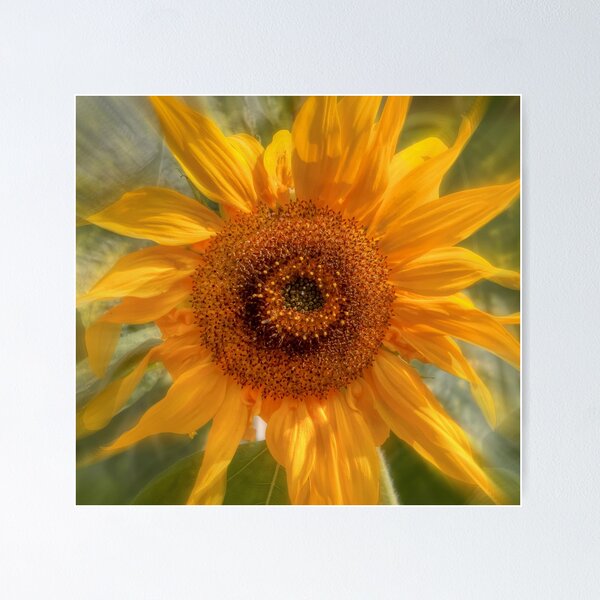 Item preview, A cup of sun designed and sold by Thea 65.