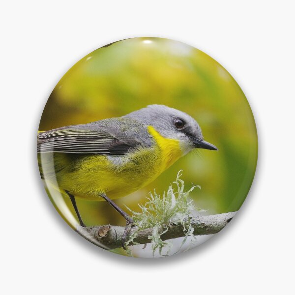 Item preview, Australian Eastern Yellow Robin designed and sold by Lyle McNamara.