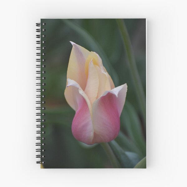 Item preview, Efflorescence designed and sold by ReneeKennedy.