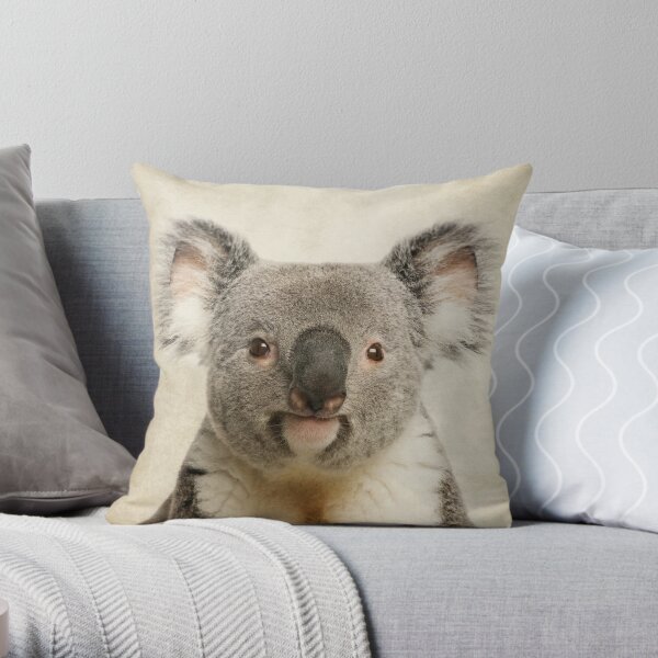 Koala Bear by Ian Mitchell