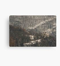 Snow scene, Bolzano/Bozen, Italy Canvas Print
