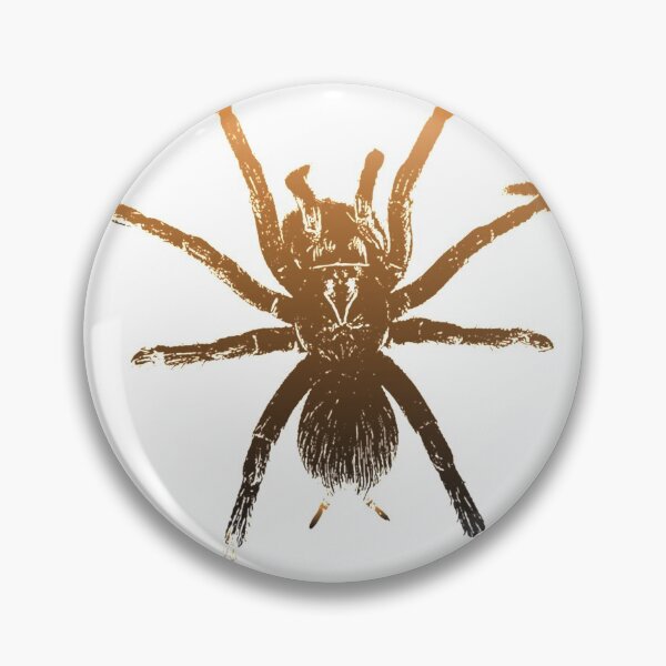 Item preview, Spider - Sac Spider - Along Came a Spider - Potion  Classic T-Shirt| spied cat T-shirt | spied cat Phonecase | spied cat gift designed and sold by jvenitam.