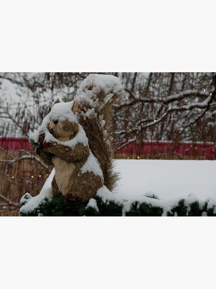 Snow covered animal figure, Christmas Market, Bolzano/Bozen, Italy by leemcintyre