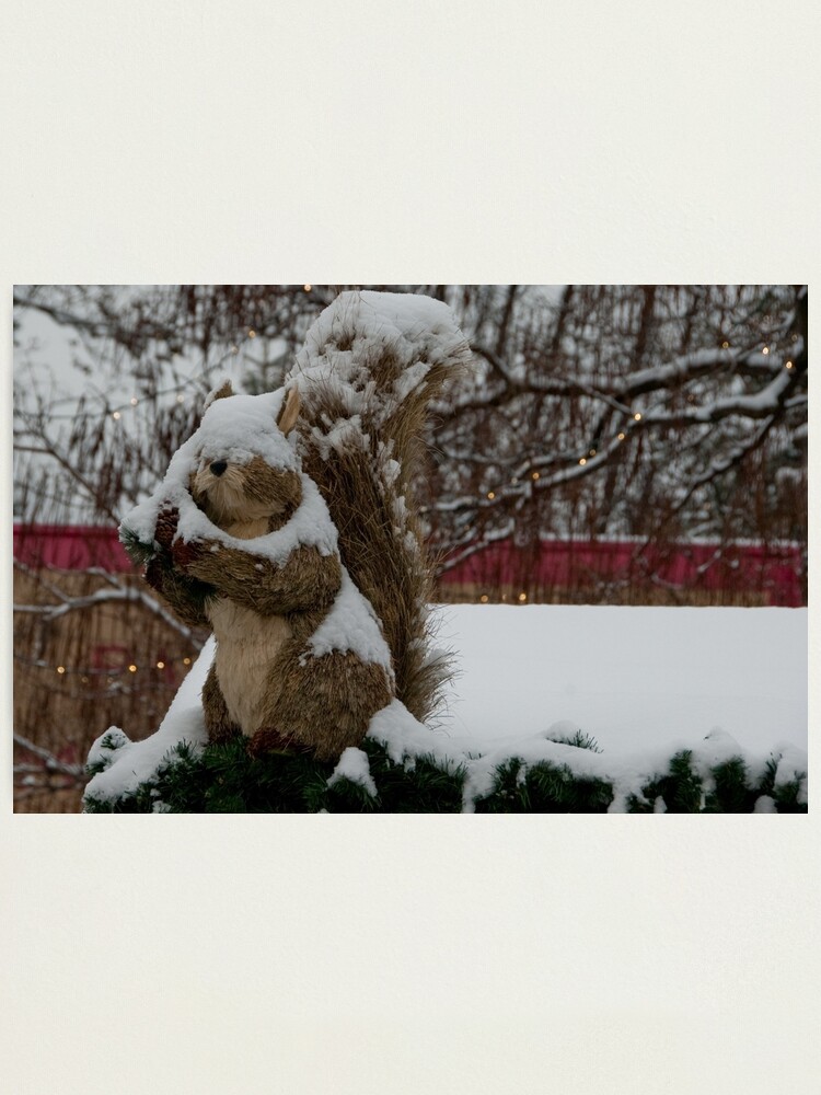 Alternate view of Snow covered animal figure, Christmas Market, Bolzano/Bozen, Italy Photographic Print