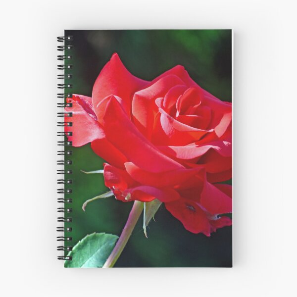 Item preview, Red Beauty designed and sold by ReneeKennedy.