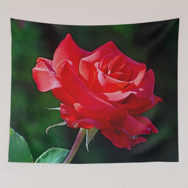 Item preview, Red Beauty designed and sold by ReneeKennedy.