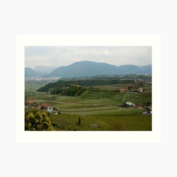 Valley with vineyards and apple orchards near Bolzano/Bozen, Italy Art Print