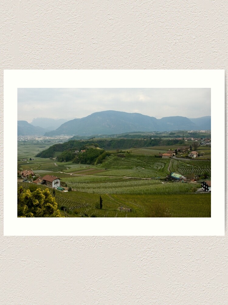 Alternate view of Valley with vineyards and apple orchards near Bolzano/Bozen, Italy Art Print