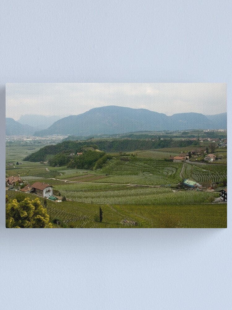Alternate view of Valley with vineyards and apple orchards near Bolzano/Bozen, Italy Canvas Print