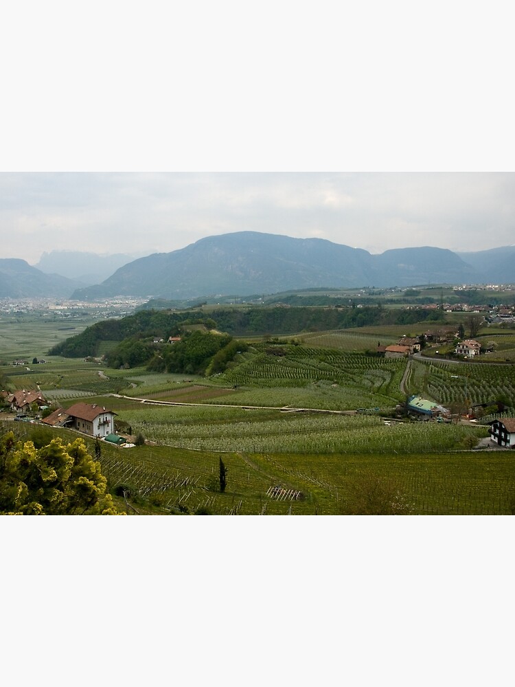 Valley with vineyards and apple orchards near Bolzano/Bozen, Italy by leemcintyre