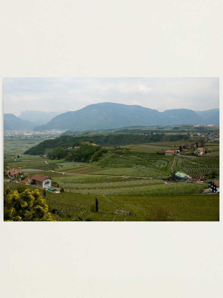Alternate view of Valley with vineyards and apple orchards near Bolzano/Bozen, Italy Photographic Print
