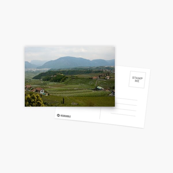 Valley with vineyards and apple orchards near Bolzano/Bozen, Italy Postcard