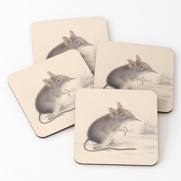 Item preview, Vintage illustrated shrew designs  designed and sold by TrippyEarth.