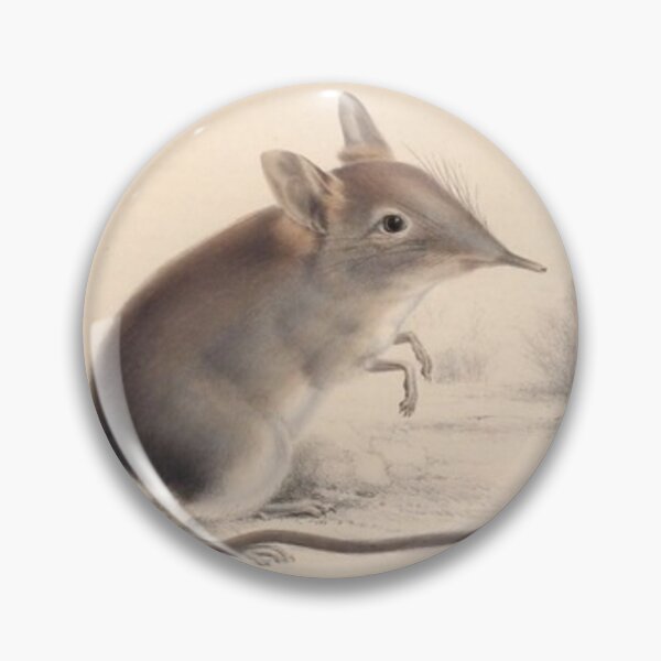 Item preview, Vintage illustrated shrew designs  designed and sold by TrippyEarth.