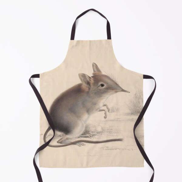 Item preview, Vintage illustrated shrew designs designed and sold by TrippyEarth.