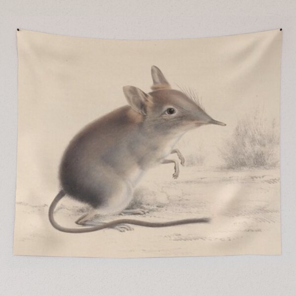 Item preview, Vintage illustrated shrew designs  designed and sold by TrippyEarth.