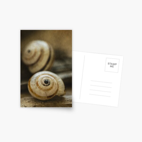 Vista previa del artículo con la obra «Siempre cerca», diseñado y vendido por ILODESIGNS.