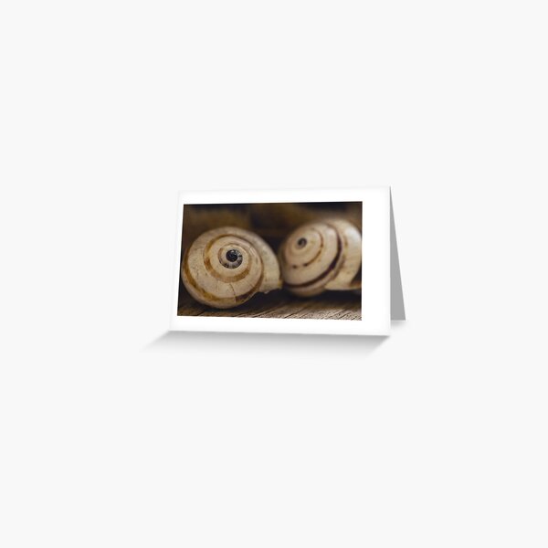 Always close 3 Greeting Card