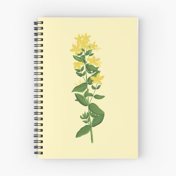 Item preview, St. John's wort botanical drawing designed and sold by Luaillustration.