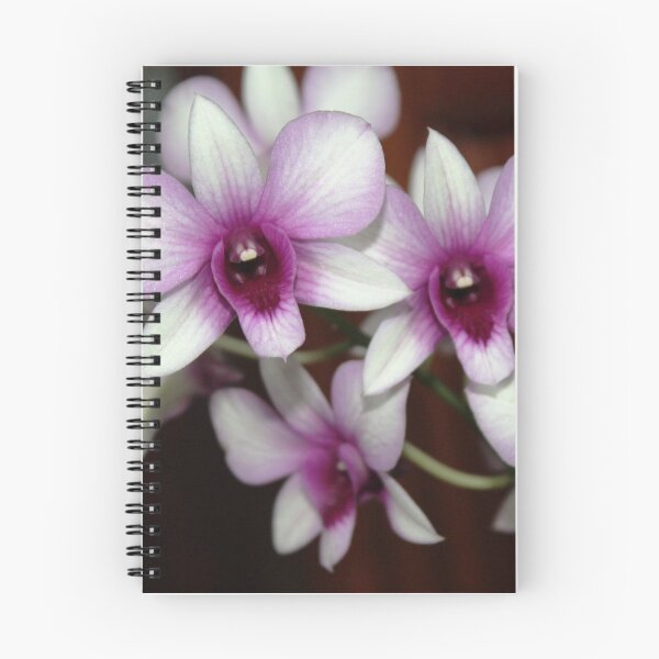 Item preview, Dendrobium orchid flowers designed and sold by gabmenfer.