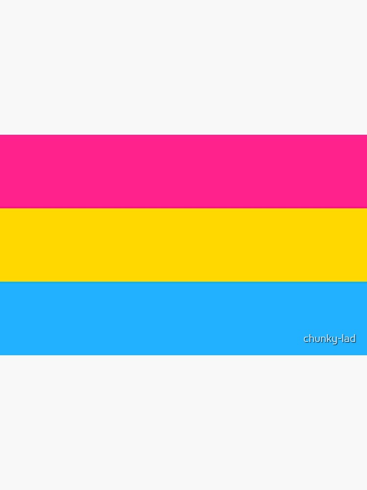Pansexual Pride Flag Poster For Sale By Chunky Lad Redbubble