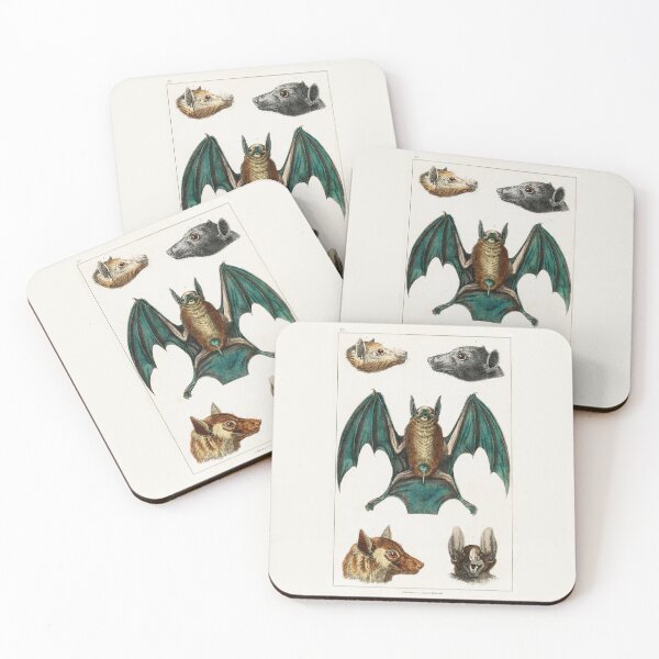 Item preview, Natural History Poster - Bats by Oliver Goldsmith designed and sold by Freewheeling.