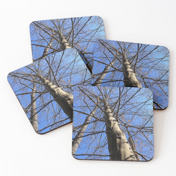 Item preview, The Canopy of American Beech designed and sold by Max Kindly.