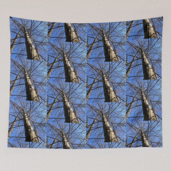 Item preview, The Canopy of American Beech designed and sold by Max Kindly.