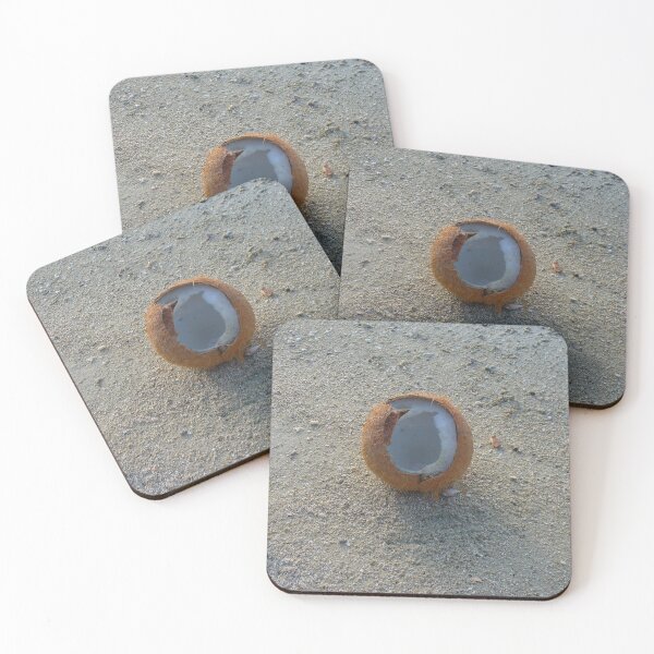 Item preview, Coconut on the Beach designed and sold by KaSaPo.
