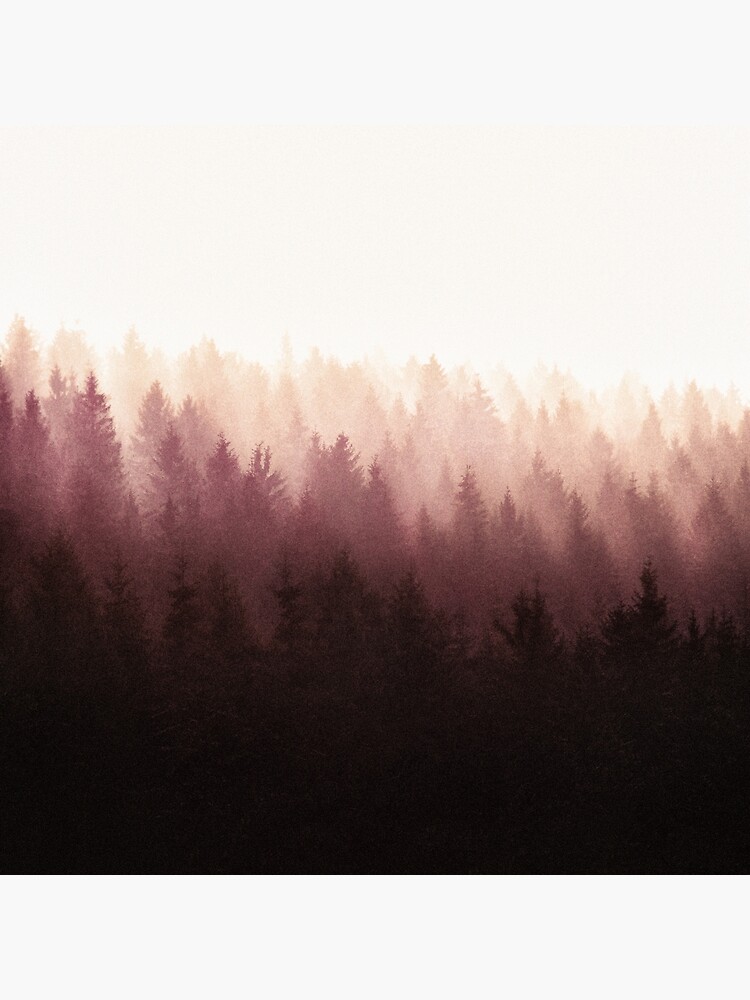 Chasing Light by tekay
