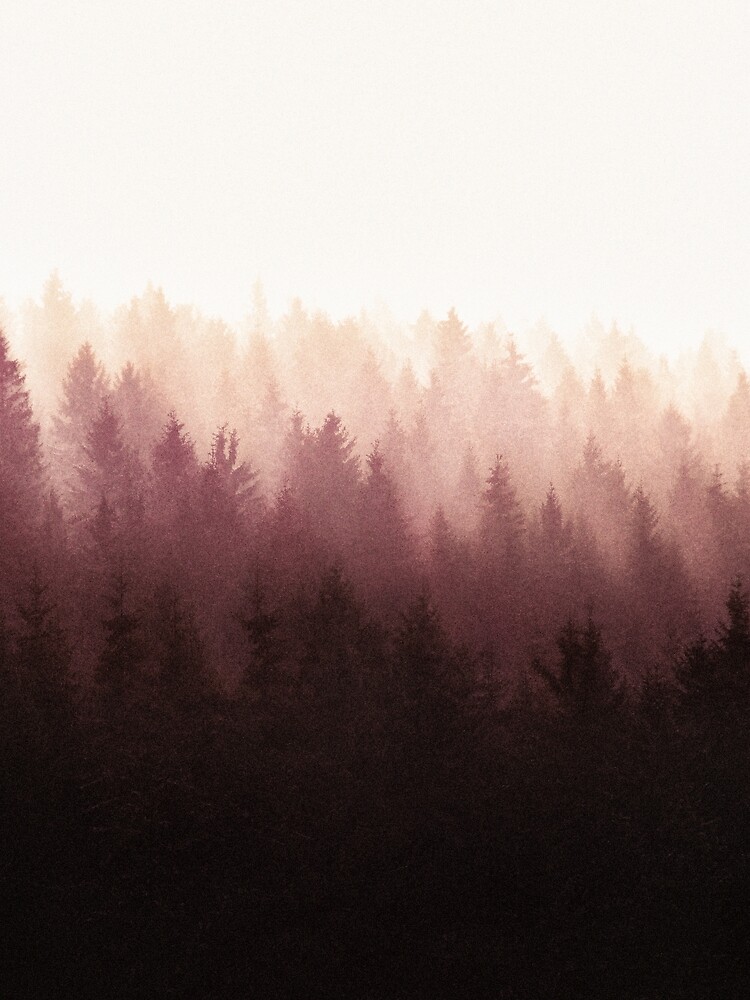 Chasing Light by tekay