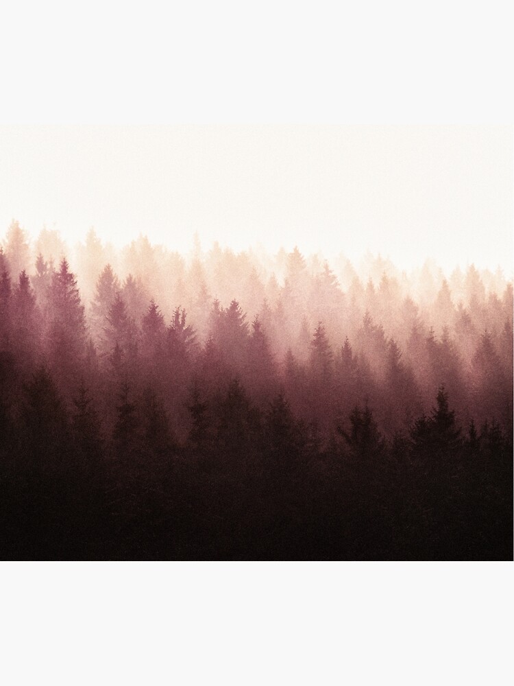 Chasing Light by tekay