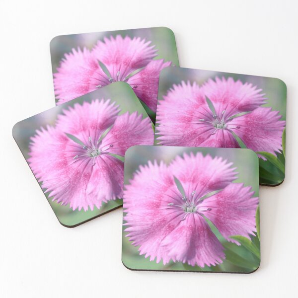 Item preview, Pink Dianthus designed and sold by StampCity.